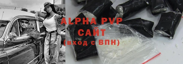 стафф Арсеньев