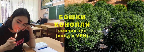 PSILOCYBIN Балахна
