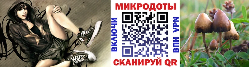 Галлюциногенные грибы прущие грибы Туапсе